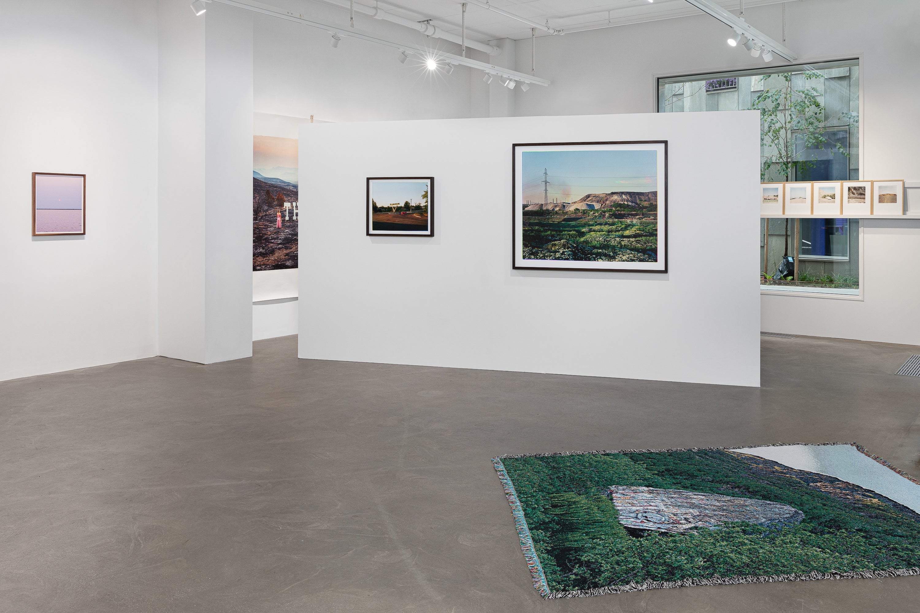 Å stirre en kamel i hvitøyet