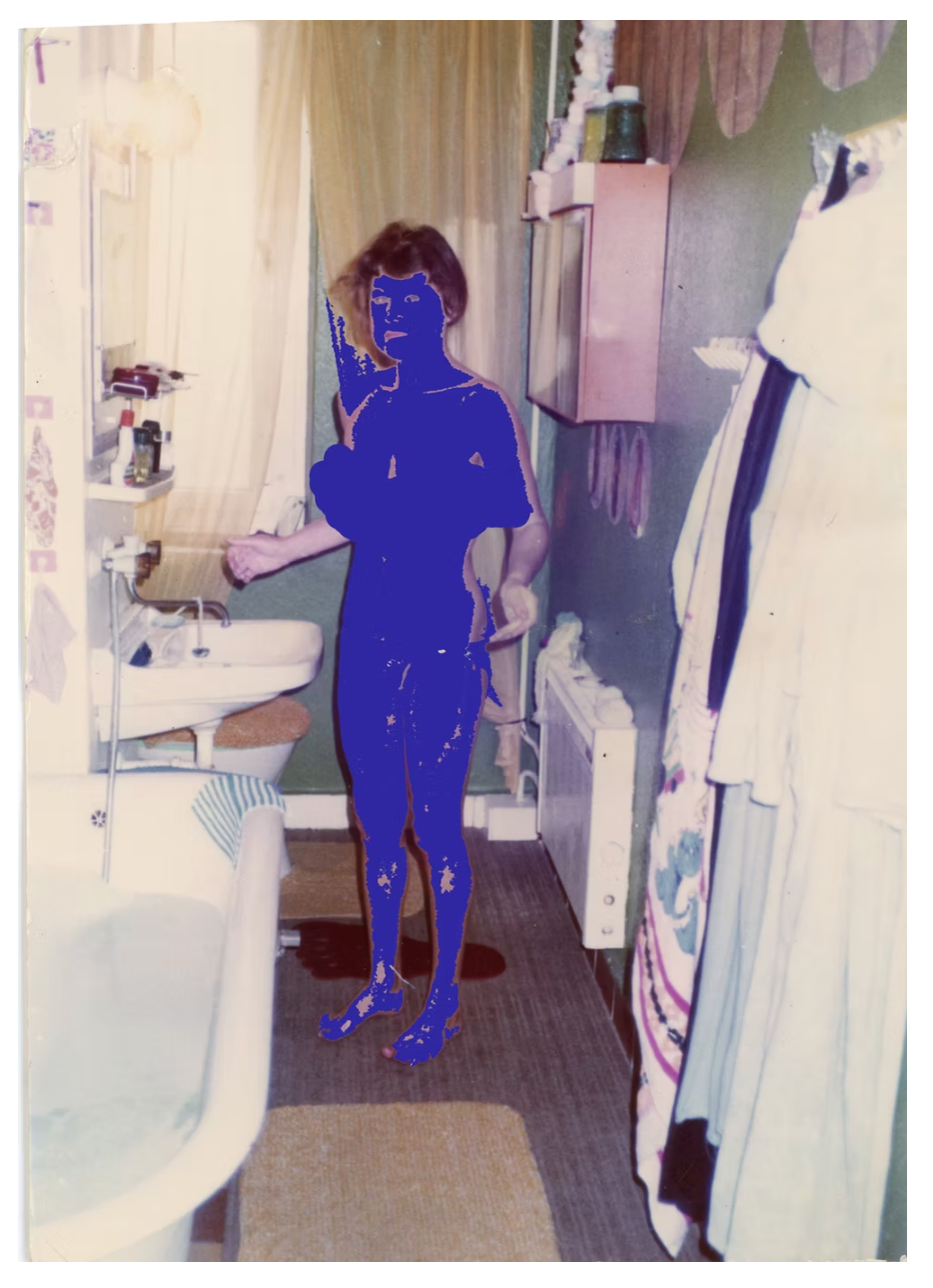 The Body Work // The Photo Album II